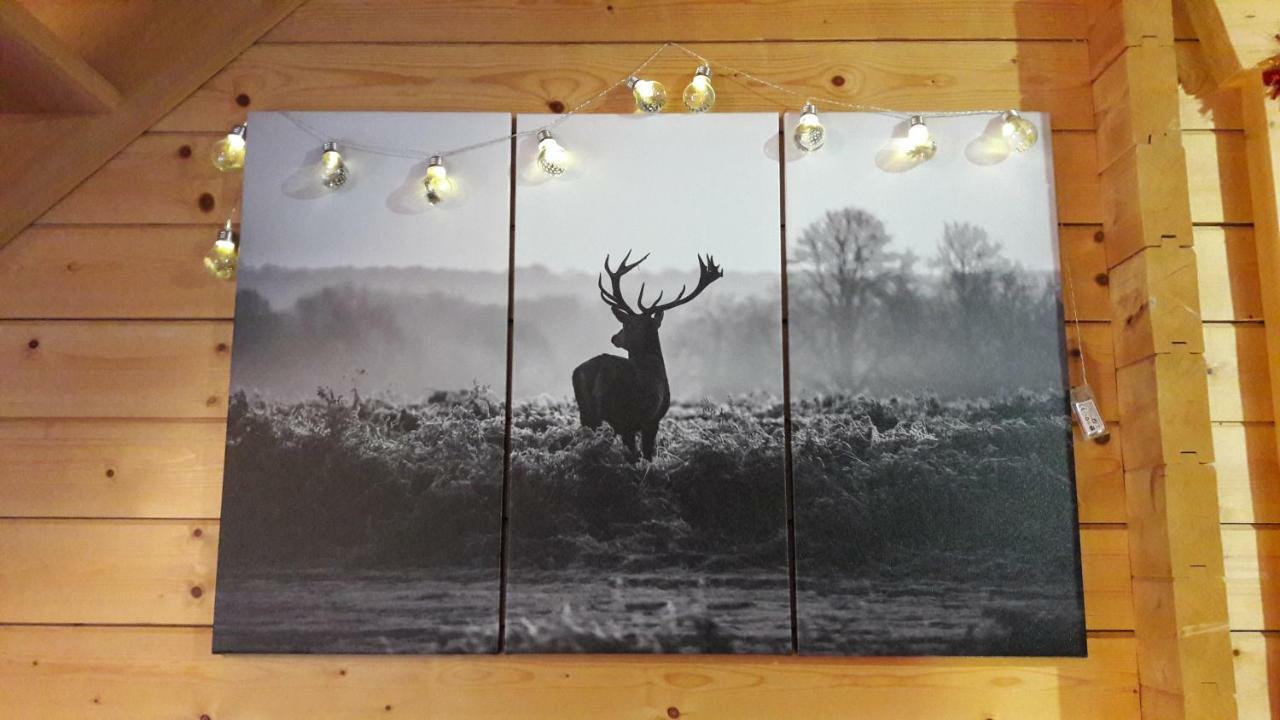 Vila Christelle Et Laeticia Gérardmer Exteriér fotografie